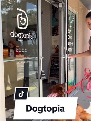 A post by @fourjollypets on TikTok caption: The “Most Exciting Day Ever!” 😆❤️🐾 Have you ever seen what it’s like in @Dogtopia #DogtopiaPartner  Kona’s here to share the fun activities they do at Day Care! #sponsored  We visited the Sanford location in Sanford, FL. 🌴☀️ Kona enjoyed the bubbles & the AC while she ran around & explored! The Canine Coaches were so nice and were THRILLED Kona allowed them to take funny photos with her! 🤪🤣 I love how I am able to check on Kona throughout the day on the app with their webcam & that they have ✨different play rooms✨ depending on your dog’s size & personality. Safety is my biggest concern so I was happy to learn there’s always someone there supervising 👀 all the fun! 🐕🐾 Day camp is a great way to socialize your dogs, keep them active & teach them positive behavior. I’m glad I can take Kona to camp whenever I know I’ll be out for an extended period of time!  Comment below your thoughts & questions & check out a Dogtopia near you!  #petcare #dailydogs #doggosbeingdoggos #dogtopia #dogtopiaactivities #sanfordflorida #dogdaycare #ItsTheMostExcitingDayEver #DogtopiaDay