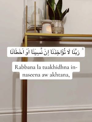 A post by @sadiyasaleh on TikTok caption: #muslim #quran #recitation #dua #beautiful #ummah #Islam #trendin #viralvideos #fyp #foryoupagе #arabi #Allah 