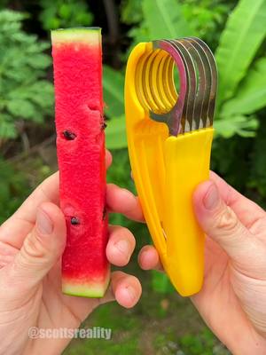 A post by @scottsreality on TikTok caption: Will it slice watermelon?! 🍉