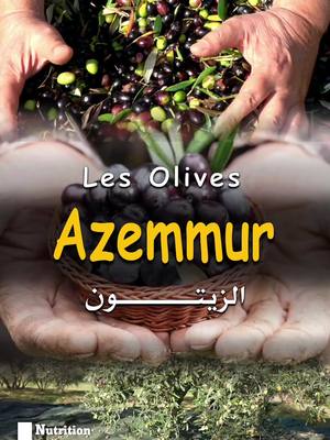 A post by @nutrition_en_kabyle on TikTok caption: Les Olives🫒🫒 : Le Trésor Méditerranéen - Secrets, Saveurs et Recettes Délicieuses ! #kabyle #kabylie #nutrition #videoviral #trends #ترند #تيك_توك #tik_tok #olive #الزيتون #fruit #sante #conseil #algerie #alger #algerienne #algerien #videos 