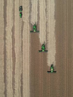 A post by @oliverkaywright on TikTok caption: Aus harvest is unbeatable @benh7547 🖤 @Jarrod Poole #drone #dronephotography #australia #farmersoftiktok #youngfarmersdoitbest #youngfarmer #agrifilmz #harvest2024 #johndeere #Summer #fyp #westernaustralia #johndeeres770 #johndeere9r #downunder #ausharvest24 