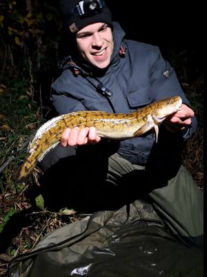 A post by @team2010_official on TikTok caption: Mramorovaný král zimní řeky - mník jednovousý 🐟🤩❄️. #matejhouska #team2010 #bushman #rybolov #rybareni #fishing #ilovenature #fish #freedom #experience #winter #night #mystery #november #dream #emotion #cesko #fisherman #life #river #catchandrelease #water #lifeisbeautiful #lifesjourney #nature #forest #lake #adventure #czech #czechrepublic