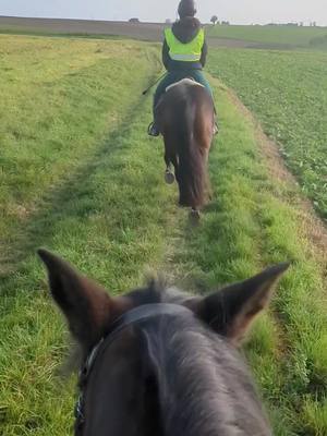 A post by @team.ginette on TikTok caption: On devient les meilleures versions de nous même avec poupette 🖤 En balade avec son amoureux Quino 🐴 #horseofinstagram #horseofinsta #pureraceespagnol #horses #horseriding 