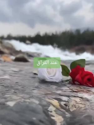 A post by @miryam.4614 on TikTok caption: #فراق# اخلاق#duo 