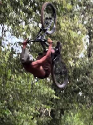 A post by @jonathandouvier on TikTok caption: #mtb #freeride 