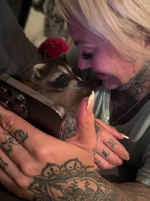 A post by @inked_goddess_ on TikTok caption: I will never forget these special moments 💔tgank you fred for bringing so much love to my life ❤️🦝 #peanutthesquirrel #freepnut #fyp #justiceforpnut #squirrel #fred #racoon #peanut #fypシ 