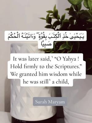 A post by @sadiyasaleh on TikTok caption: #videoviral #trendiing #fyp #beautiful #surahmaryam #Islam #quran #recitation #muslimtiktok 