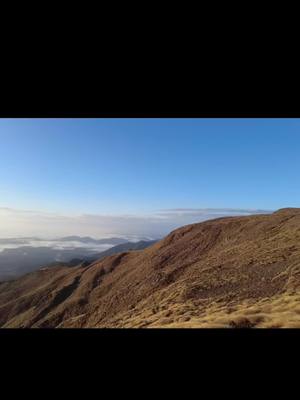 A post by @krittastuartoutdoors on TikTok caption: High Country⛰️ #nzhunting #reddeer #sikadeer #huntingnz 