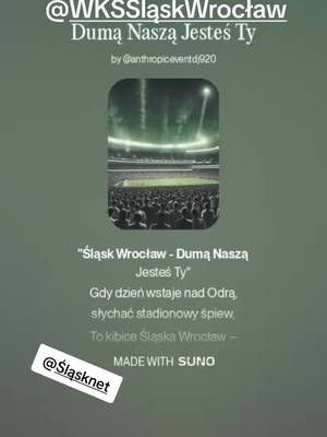 A post by @zielony_kot_ on TikTok caption: @Śląsknet #ślaskwroclaw @WKS Śląsk Wrocław 