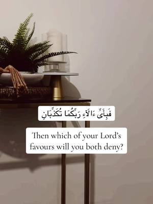 A post by @sadiyasaleh on TikTok caption: #beautiful #videoviral #trendiing #fyp #quran #muslimtiktok #recitation #Islam #forupage #suraharrahman #luhaidan 