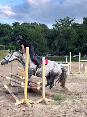 A post by @ah.fotografie on TikTok caption: Ist @Saida geflogen oder drauf geblieben?🫠 #horse #equestrian #foryou #connemara #connemarapony #fyp #HorseRiding #fail 