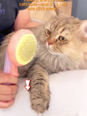 A post by @pet..supplies on TikTok caption: Less fur on you, more love from them!#catsoftiktok #cat #catsoftiktok2024 #catbrush 