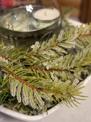 A post by @hillsidehomestead on TikTok caption: Frosted Christmas decorations! #holiday #merrychristmas #decor #DIY #frosteddecor #borax #EasyRecipes #simplerecipe #centerpiece #christmascenterpiece #hillsidehomesteader #homesteadchristmas #simplechristmas #rusticchristmas 