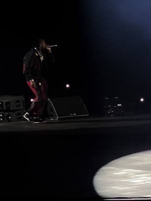 A post by @deftnails on TikTok caption: Tay B in DET 📍@ Lil Caesars Arena 🔥 #tayb #thelastlap #rodwave #rodwavetour #detroit 