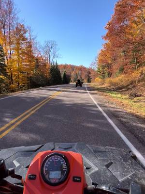 A post by @officialsledgoon on TikTok caption: Beautiful Fall Weather!  Check out the full video on YouTube @ Backcountry Blazers  #fourwheeler #atv #fourwheeling #fallweather #offroad #polaris #sportsman #braaap 