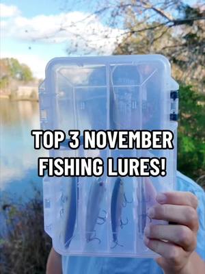 A post by @adubfishing on TikTok caption: Top 3 November bass fishing lures! If you use these three baits you will catch fish this month guranteed (unless you’re up north and the water is frozen 😭) #fyp #relatable #fishing #bassfishing 