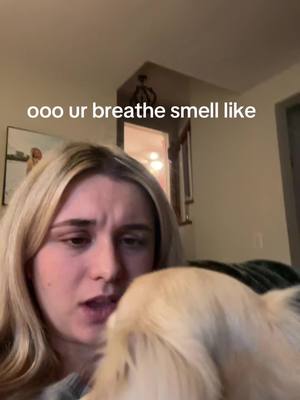 A post by @kate.scannell on TikTok caption: dachshunds have the stinkiest breath and yawn the absolute most