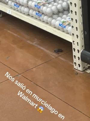 A post by @soybeb0 on TikTok caption: Nos salio un murciélago en #walmart #murcielagoo🦇 #paratiiiiiiiiiiiiiiiiiiiiiiiiiiiiiii 