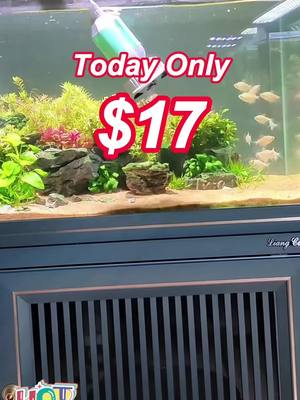 A post by @hiucbd on TikTok caption: #aquarium #hygger #cleaning #usa #sandwashing #aquariumlife 