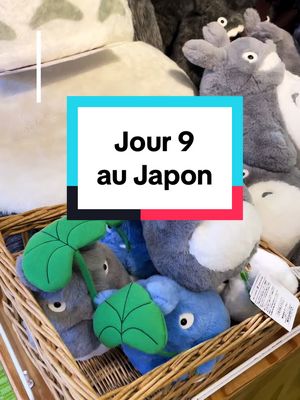 A post by @bracelet_coquillage on TikTok caption: Vlog du Jour 9 au Japon où on visite un magasin studio Ghibli au centre de Ginza et où on termine par une balade nocture a asakusa en direction de la sky tree tower. #japon #tokyo #Vlog #japan 