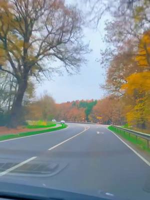 A post by @essameldin.daily on TikTok caption: #nature #natural #herbst #winter #essamdaily #winter #meppen #emsland #ems #niedersachsen #الشعب_الصيني_ماله_حل😂😂 #deutschland #autobahn 