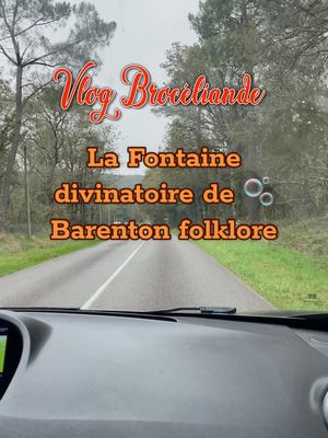 A post by @sister_eso on TikTok caption: Les sorcières en vadrouillent à Broceliande 🎃 Partie 1 Je vous propose de découvrir les beaux paysages d’automne, les folklores des lieux mais aussi de parler de 2/3 trucs qu’on idéalise sur les réseaux sociaux alors qu’en vrai… #automne #Vlog #sorcière #witch #divination #broceliande #automn #folklore #legende 