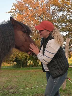 A post by @paulinedjulyanofficiel on TikTok caption: Nos Écuries de Propriétaire, @terrehappyfarm  c’est bien plus qu’un lieu : c’est une famille, un savoir-faire professionnel et une passion infinie pour les chevaux. 🐴✨ Ajoutez à cela notre ferme pédagogique, où petits et grands découvrent le bonheur de la vie au contact des animaux. ❤️🌾 Rejoignez-nous dans cet univers où bien-être, apprentissage et amour des chevaux s’entrelacent.  (Maure de bretagne 35) 💻 terrehappyfarm@gmail.com ☀️☀️ un énorme merci à @quentin_rzt_  pour la réalisation de ces images ☀️☀️ merci pour vos partage 💪☀️ #ÉcuriesDePropriétaire #PassionÉquestre #EspritDeFamille #FermePédagogique #BienÊtreAnimal #VieÀLaCampagne #AmourDesChevaux #ChevauxEtNature #ApprentissagePourTous #MomentsAuthentiques #ProfessionnalismeÉquestre #CavaliersHeureux #FamilleÉquestre #NatureEtPassion