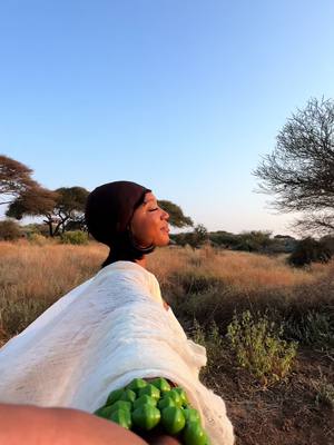 A post by @soleneoj on TikTok caption: moments of harmony in kenya 🌞✨ #naturelovers #wildlifephotography #cinematicvideo #elephants #traveltips #comingbackforyou 