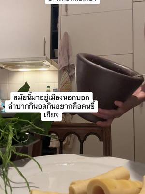 A post by @user1948018505621 on TikTok caption: #ยายแดงเยอรมัน🇩🇪 #คนไทยในต่างแดน #สู้ชีวิตในต่างแดน #คนที่ไมีกิน ไม่มีเก็บคือคนขี้เกียจ#