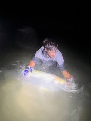 A post by @catching_dinosaurs on TikTok caption: 150 pound tarpon under the full moon #florida #floridafishing #fishingtackle #fishingtips #seaarkboats #tarpon #fullmoon #nightfishing #monsta #suffix #eagleclawhooks #berkleyfishing #vexanfishing #penn 