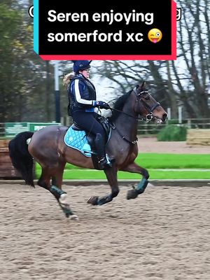 A post by @whizzywackywelsh on TikTok caption: Someone had farrr to much fun yday!  Before you pass judgement about my riding- you try n ride it 🤣 #yehawww #horse #somerfordpark #whizzywackywelsh #fyp #horsesoftiktok #welshd #happypony 