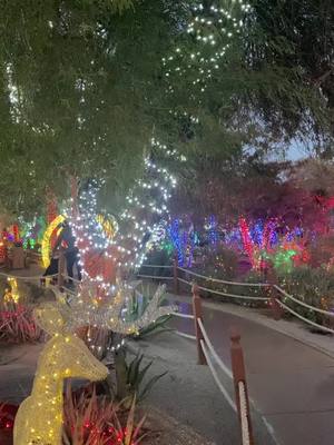 A post by @jjgav on TikTok caption: #lasvegas #fyp #christmas #christmaslights #christmascountdown 