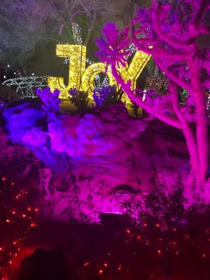 A post by @jjgav on TikTok caption: #lasvegas #fyp #christmas #christmaslights #christmascountdown 