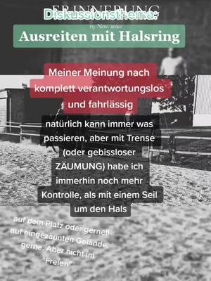 A post by @annalena.equi on TikTok caption: #erinnerung