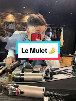 A post by @leo.bartoletti_ on TikTok caption: Tu valides ce mulet du seigneur ? 🤌 #coupedecheveux #mulet #coiffeur #saloncoiffure #barber #thibaultallexant 