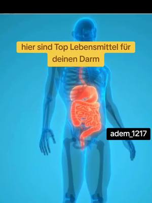 A post by @adem_1217 on TikTok caption: #gesundheit #gesundheitstipps #darmgesundheit #darm 