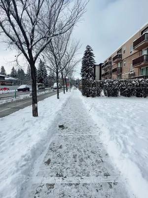 A post by @bevssvalle on TikTok caption: Snowy in Calgary. ⛄️❄️🥶 #fyp #calgary #winter #vibes 