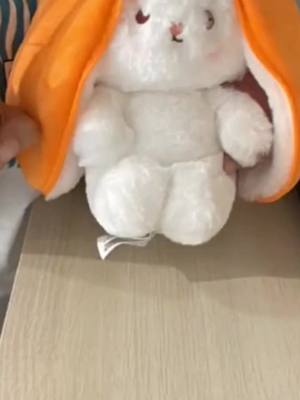 A post by @xiannv7 on TikTok caption: #funny #toys #cute #soft 