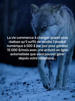 A post by @mental_millionaire_ on TikTok caption: Comment vous allez le faire Investissez-vous à fond, et regardez les résultats arriver ! 🚀 Vous en avez assez de vivre de chèque en chèque, de perdre votre temps dans un job 9-5 sans avenir, et vous voulez enfin vous consacrer pleinement à l’apprentissage de compétences à haut revenu que vous pourrez utiliser toute votre vie ? C’était exactement moi il y a 10 mois… et maintenant, je prospère, tout ça parce que j’ai pris une semaine pour investir dans mon apprentissage. “Ok, mais comment ?” Exactement comme je l’ai fait, en étant un complet débutant dans le monde en ligne : 👉 En apprenant le marketing digital, la vente, le branding, la création de contenu, la recherche d’audience cible, la croissance sur les réseaux sociaux, et la mise en place de systèmes pour automatiser totalement votre activité. 👉 Avec DWA (Digital Wealth Academy), qui sert également de premier produit numérique que vous pouvez vendre avec 100 % de profit comme s’il était le vôtre. 👉 En utilisant ces compétences pour promouvoir et vendre des produits numériques en ligne via des vidéos de 4 à 8 secondes tournées avec votre téléphone 📱, tout en construisant une marque et une communauté autour de vous et de votre style de vie 🌟 (sans trop stresser sur le choix d’une niche spécifique). ❌ Vous n’avez pas besoin d’expérience. ❌ Vous n’avez pas besoin d’abonnés. ❌ Pas besoin d’expédition de produits. ❌ Pas d’appels à froid. ❌ Pas d’employés. ❌ Et même pas besoin de votre propre produit. Bienvenue en 2024, où une entreprise en ligne gérée par une seule personne peut réussir. Vous avez déjà tous les outils nécessaires pour construire la vie de vos rêves, littéralement au bout de vos doigts ✨. Tout ce qu’il vous reste à faire, c’est d’apprendre les compétences pour y parvenir. C’est là que DWA intervient pour vous enseigner tout, de A à Z. 🔥 Commentez “Prêt” et je vous enverrai toutes les informations pour commencer à apprendre, comme je l’ai fait. 📩 Envoyez-moi un message pour toute question ou assistance. ❤️ AIMEZ, ENREGISTREZ & SUIVEZ. #digitalmarketing #digitalproducts #digitalmarketingforbeginners #howtomakemoneyonline 