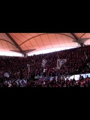 A post by @locke_1887 on TikTok caption: #💙🤍🖤 #hamburg #2liga #nurderhsv #fy #heimsieg #erinnerung 