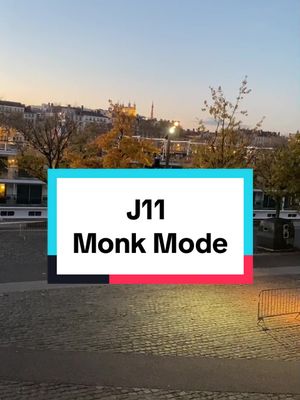 A post by @pierre_mla on TikTok caption: J11/49 C’est beau Lyon 🌇 #monkmode #fitness #musculation #medstudent #challenge #gym #capcut_edit #pass 