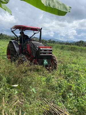 A post by @rachhinkh on TikTok caption: #អ្នកស្រែចំការ #kubota #អ្នកចម្ការ 