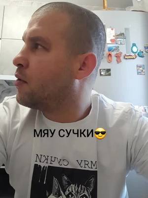 A post by @aleksandrsemen7 on TikTok caption: мяу сучки😎😎😎