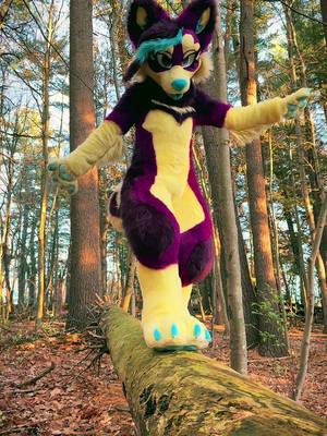 A post by @phoenixawoo on TikTok caption: Life is short, be a critter in the woods #furry #fursuit 