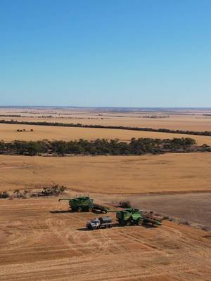 A post by @oliverkaywright on TikTok caption: Onto the final 6000 hectares of wheat 🚜💨 Inspiration by @Fred Weldon 🤘🏻@benh7547 🖤 @Jarrod Poole #drone #dronephotography #australia #farmersoftiktok #youngfarmersdoitbest #youngfarmer #agrifilmz #harvest2024 #johndeere #Summer #fyp #westernaustralia #capcut_edit #dji #djiair2s 