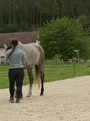 A post by @art.of.dressage on TikTok caption: Akademische Bodenarbeit – Wie starten wir diese, was bringt es unserem Pferd, und worauf sollten wir bei der Ausführung achten? Step by Step für dich erklärt All diese Fragen beantworte ich in meiner Membership! In diesem Video war es noch herrlich warm, aber die Winterzeit eignet sich perfekt, um sich mit Videos weiterzubilden und Neues zu lernen. 📢 Black Week Special: Spare jetzt 25 % auf meine Membership mit dem Code BLACK! 👉 Sichere dir dein Wissen und starte mit deinem Pferd durch! 🐴 Jetzt reinschauen und profitieren!