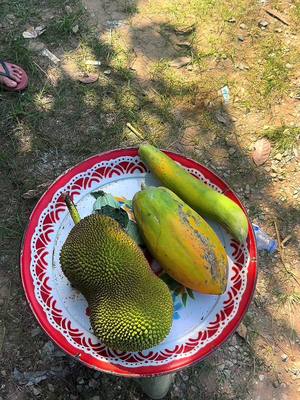 A post by @trollpumotodub.com on TikTok caption: ល្វាឯម#fruit #foodtiktok 