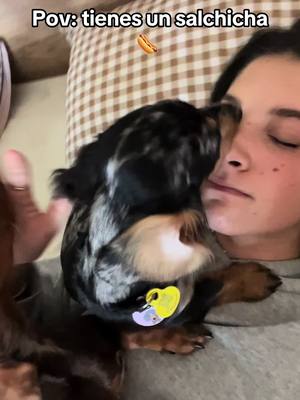 A post by @laijovee on TikTok caption: Amor perruno