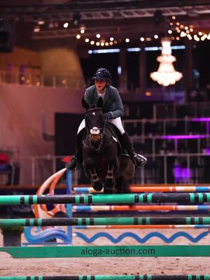 A post by @maisieallsop_sj on TikTok caption: forever my fav boy ✨❤️ Jumping amazing last week in sentower as always 🫶 • • #attyroryrebel #ponyshowjumper #showjumping #showjumper #britishshowjumping #britishshowjumper #showjumpingpony #148pony #devoucoux #devoucouxsaddle #fyp #foryoupage #showjumpersoftiktok #sentower #internationalshowjumper #internationalshowjumping 