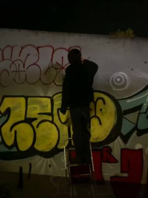 A post by @kranktagger on TikTok caption: #foryoupage #foryou #graffiti  #throwup #tag #marseille 